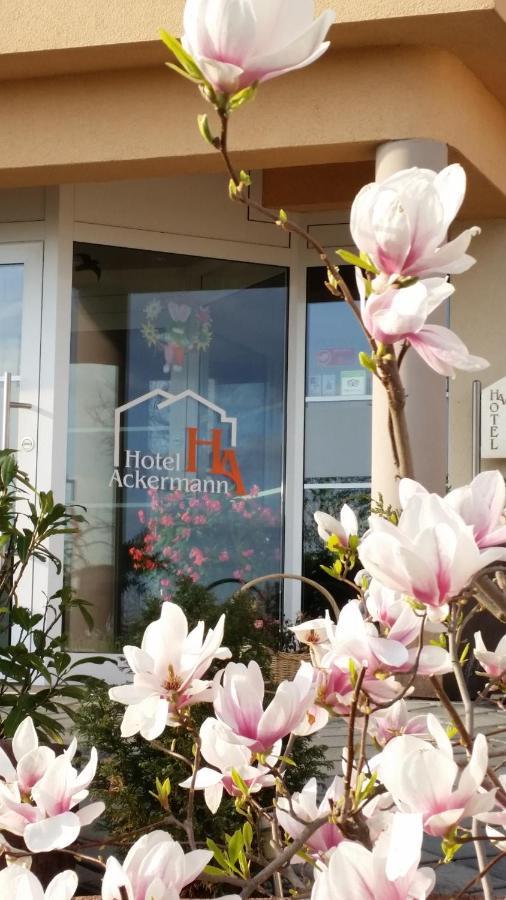 Hotel Ackermann Riedstadt المظهر الخارجي الصورة